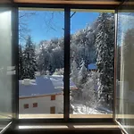 фокс хаус Fox House