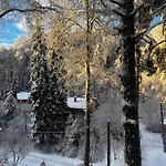 фокс хаус Fox House Hotel *