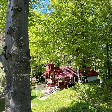 фокс хаус Fox House Хотел *