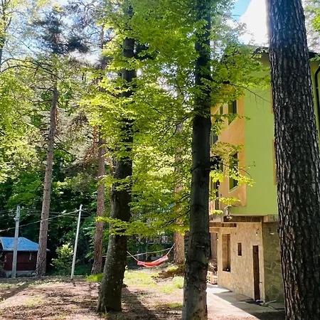 фокс хаус Fox House Хотел *