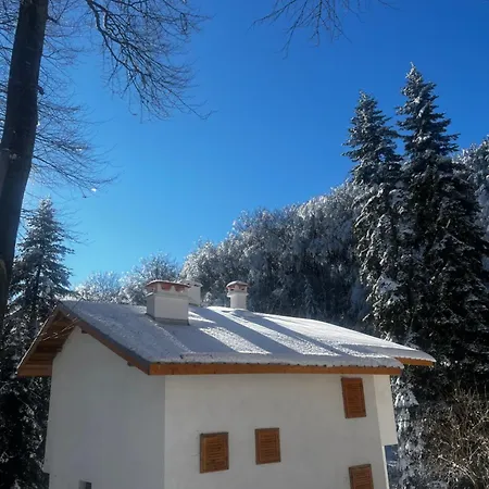 фокс хаус Fox House