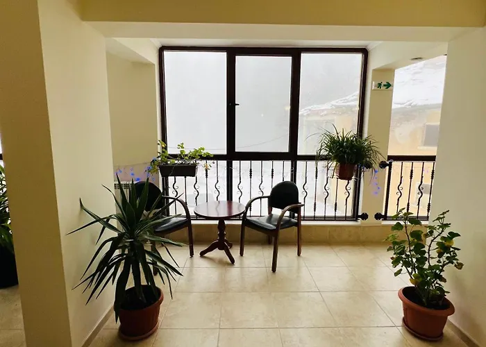 Hotel фокс хаус Fox House