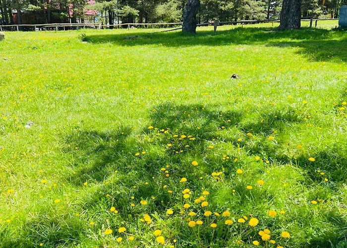 фокс хаус Fox House Hotel *