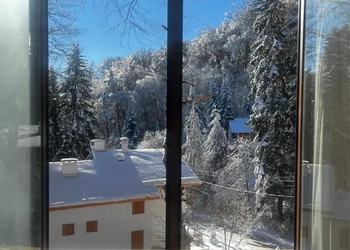 фокс хаус Fox House