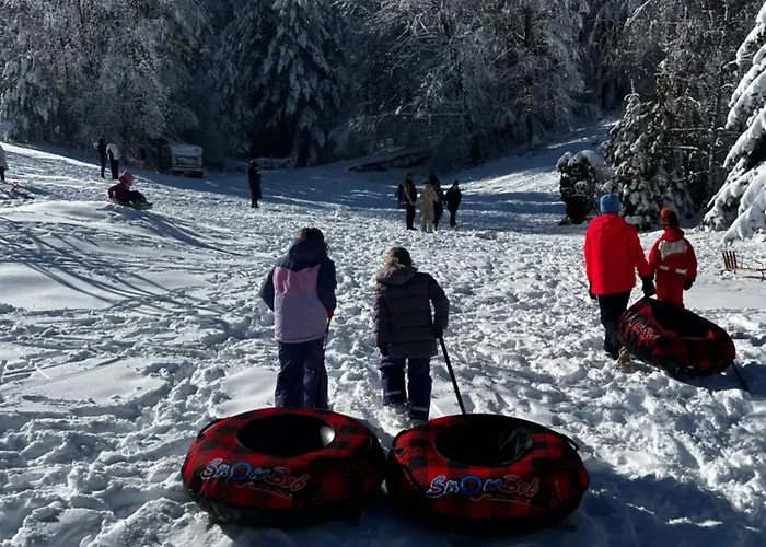фокс хаус Fox House Hotel Peshtera (Pazardzhik)