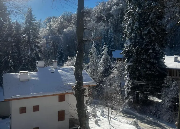 Hotel фокс хаус Fox House Peshtera (Pazardzhik)