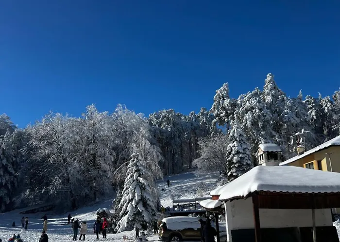 Hotel фокс хаус Fox House