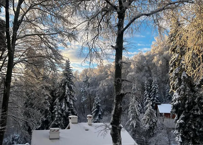 фокс хаус Fox House Hotel