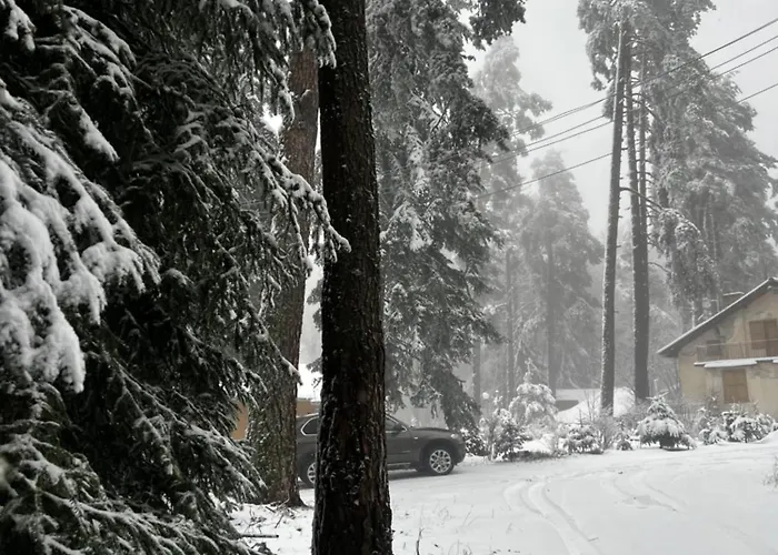 Hotel фокс хаус Fox House